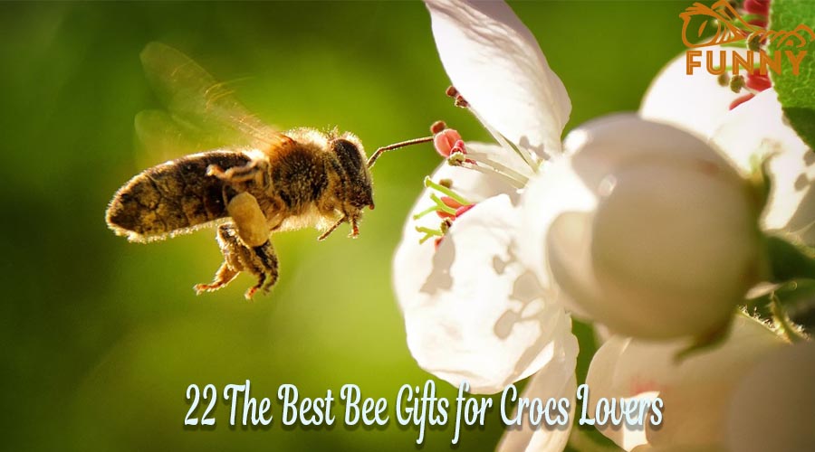 22 The Best Bee Gifts for Crocs Lovers