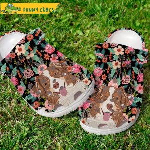 Funny Border Collie Puppy With Pink Flower Crocs