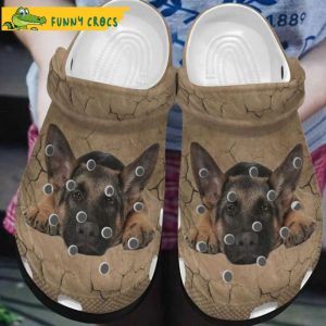 German Shepherd Looking For Some ones I’m A Dog Lover Cute Crocs