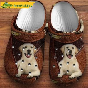 Happy Labrador Leather Dog In Crocs