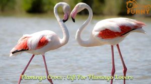 Flamingo Crocs : Gift For Flamingo Lovers