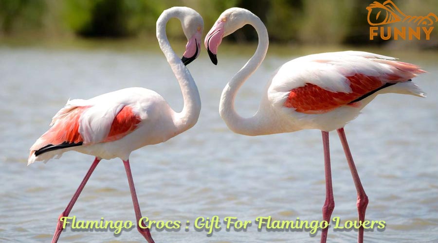 Flamingo Crocs : Gift For Flamingo Lovers