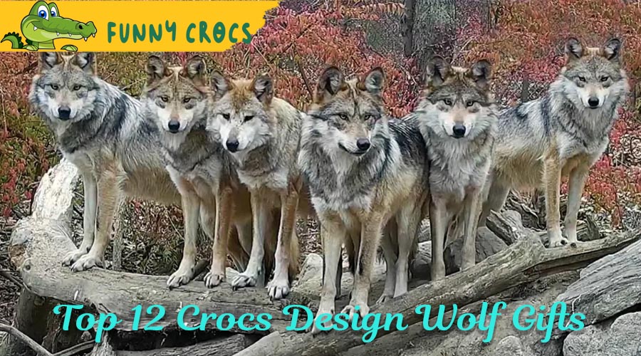 Top 12 Crocs Design Wolf Gifts