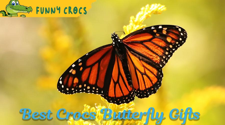 15 Best Crocs Butterfly Gifts