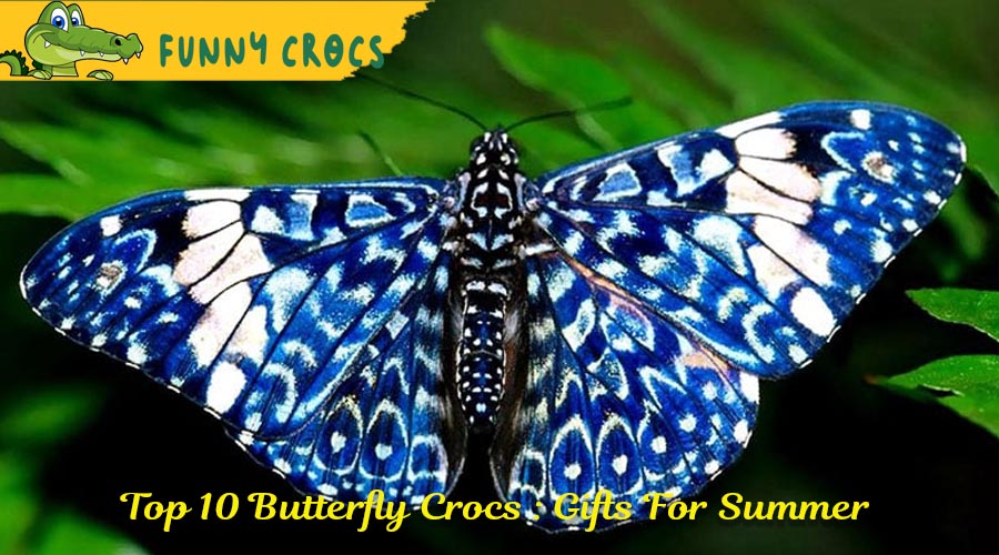 Top 10 Butterfly Crocs : Gifts For Summer