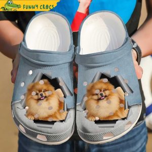 Pomeranian Crocs Slippers