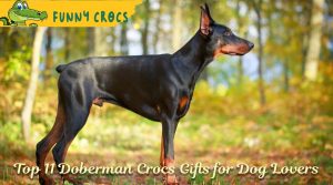 Top 11 Doberman Crocs Gifts for Dog Lovers