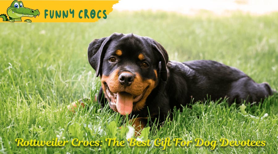 Rottweiler Crocs: The Best Gift For Dog Devotees