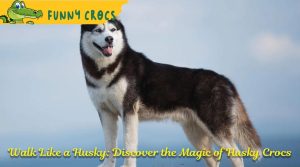 Walk Like a Husky: Discover the Magic of Husky Crocs