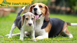 Beagle Crocs - A Must-Have Gift for Beagle Owners