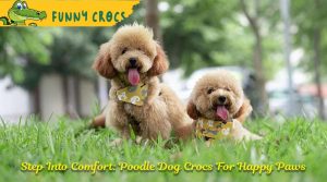 Step Into Comfort: Poodle Dog Crocs For Happy Paws