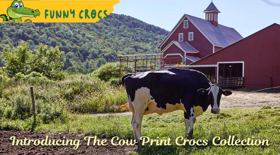 Introducing The Cow Print Crocs Collection
