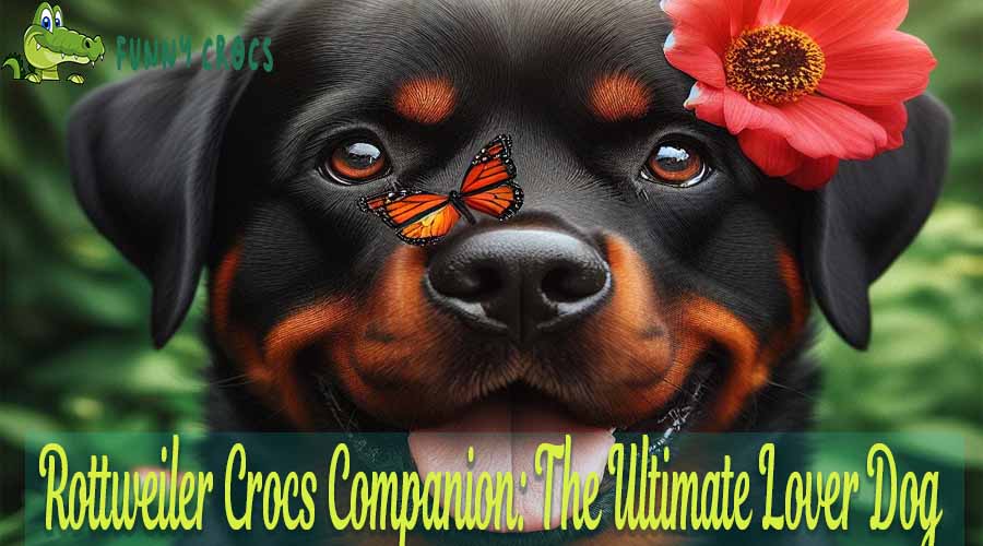 Rottweiler Crocs Companion The Ultimate Lover Dog